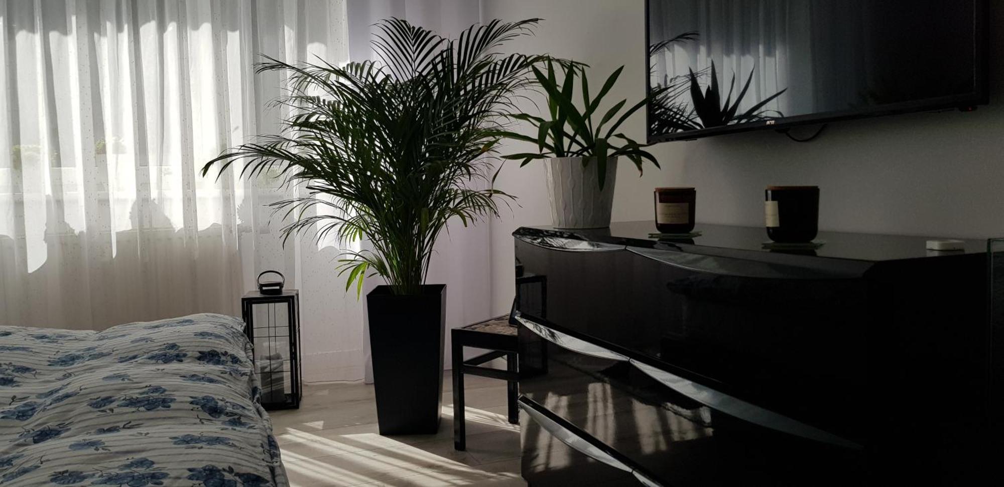 I Apartment