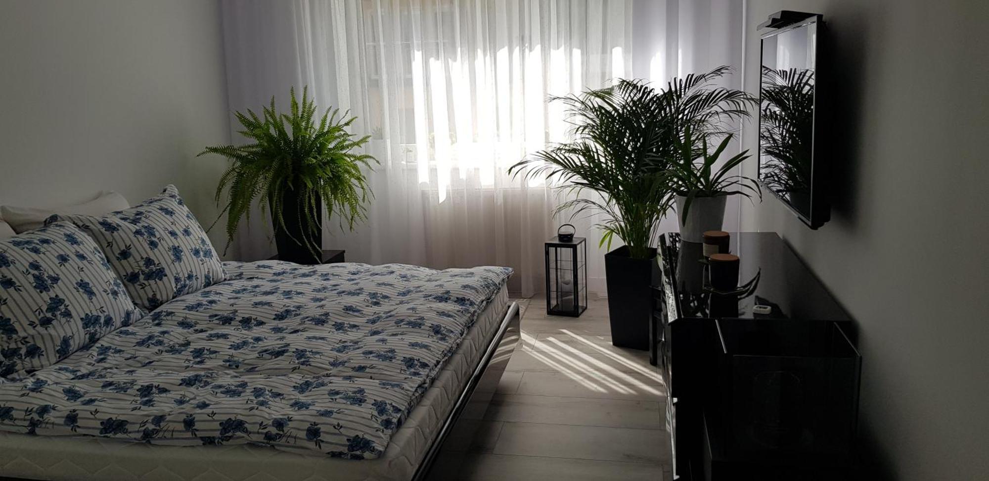 Apartment I *